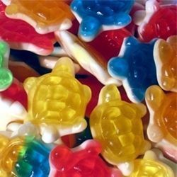 Dulceplus Tortues LISSES les (100g)