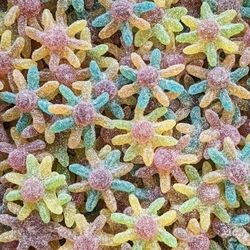 JAKE OCTOPUS Poulpe acidulée les (100g)